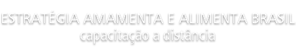 Estratégia Amamenta e Alimenta Brasil